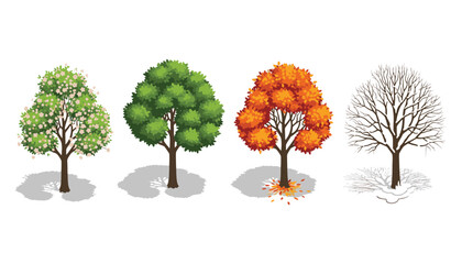 Fototapeta premium Isometric Seasonal Trees Vector Set — Spring to Winter Transformation for Nature and Landscape Illustration