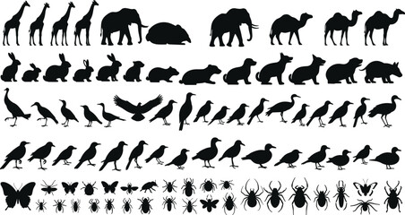 Animal silhouette collection, giraffe, elephant, camel, rabbit, bear, bird, butterfly, spider, ant, black vector, white background