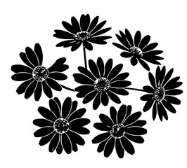 A close up of a vibrant green leaf with intricate veins and dew drops glistening in the sunlight showcasing nature s delicate beauty and detail