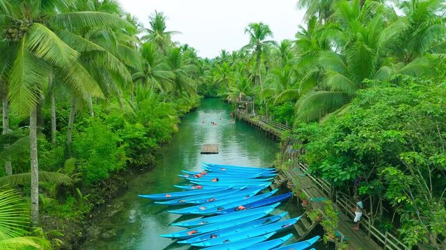 Elevated view of a winding river with dense palm trees, blue boats, and men, women, and young adults swimming and jumping from a platform, Maasin River, Siargao, Philippines.