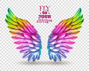 Fototapeta premium vector elements 