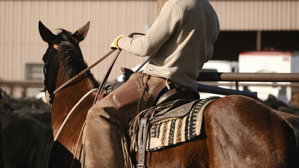 Working cattle ranch concept with cowboy on horse and cows, beef industry in agriculture.