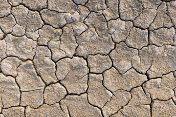 Cracked and dry soil background,Close up shot of drought, dried soil photographed from top view.