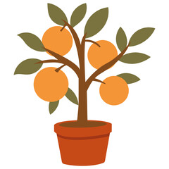 Orange Tree Plant in Terracotta Pot Illustration