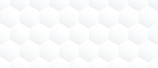 3D hexagon mesh pattern with a glossy surface and geometric grid structure. Vector illustration.