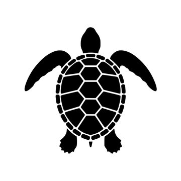 Elegant turtle icon, perfect for marine conservation projects and ocean themed designs