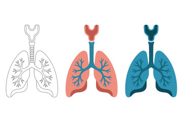 Three lung illustrations in outline red and blue on a white background art