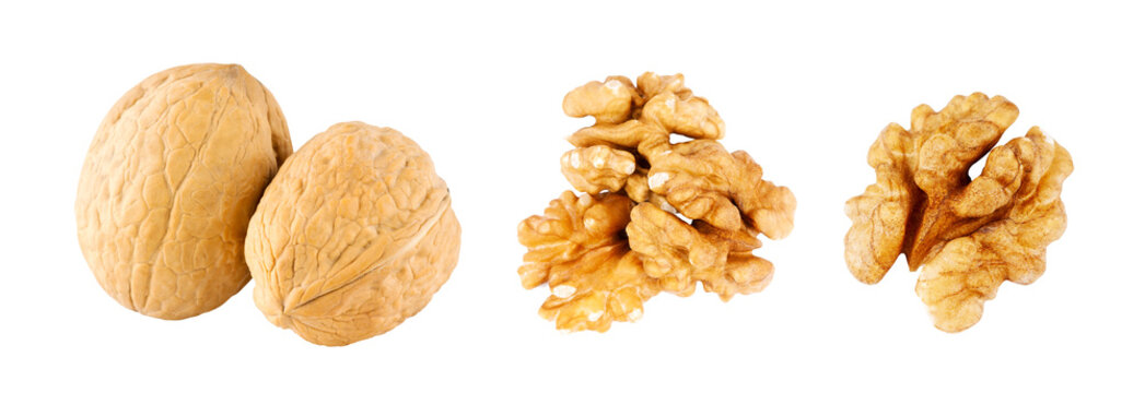 Walnuts isolated on transparent background. PNG format	