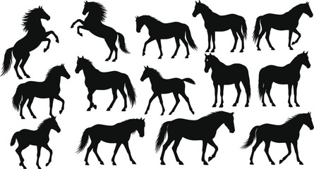 Horse silhouette vector, equine pose collection, walking and trotting stances, black graphic art, animal motion design, anatomy clipart