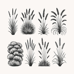 Black silhouettes of decorative grass drawn in sketch style various types of cereals and wild herbs