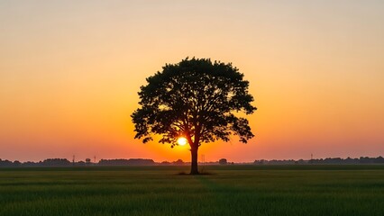 Obraz premium Majestic Tree Silhouette at Sunset: Golden Hour Landscape Serene Nature Scene.