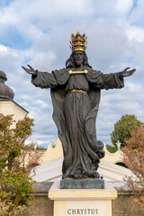Vertical View The Statue Christ