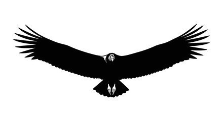 Majestic Andean Condor Soaring with Wings Spread Wide.