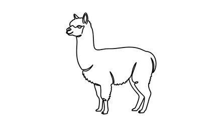Obraz premium Elegant Alpaca Illustration A Detailed Line Art Depiction.