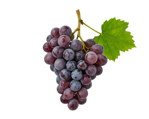 Lush fresh ripe red grapes bunch with green leaf, healthy snack