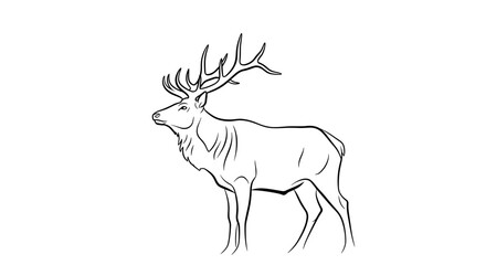 Elegant Stag Illustration A Majestic Wildlife Drawing.