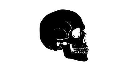 Black Skull Silhouette on White Background Anatomy and Mortality.