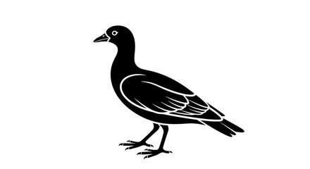 Elegant Black Duck Illustration on White Background.