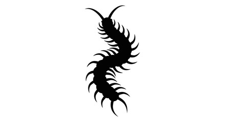 Centipede Silhouette Detailed Vector Illustration of a Creepy Crawly.