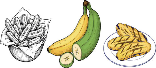 Banana and plantain food vector set with fried slices, raw fruit bunch and sketch style illustration
