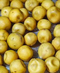 Yellow Pickled Lemons CloseUp Food Background