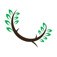 Branch logo icon design