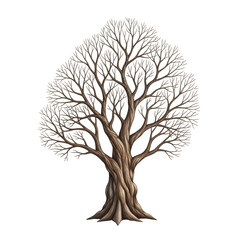 Fototapeta premium Detailed leafless tree illustration isolated on transparent background
