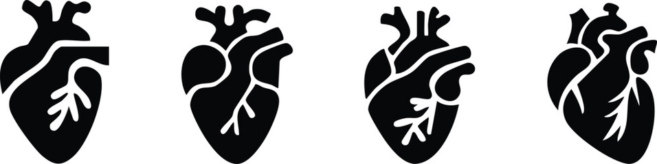 Set of anatomical heart icon Set, Human anatomical heart, heartbeat, cardiovascular, anatomy, medical, health, cardiology illustration, biology, organ, human heart collection, Vector illustration !