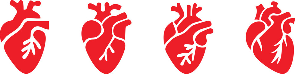 Set of anatomical heart icon Set, Human anatomical heart, heartbeat, cardiovascular, anatomy, medical, health, cardiology illustration, biology, organ, human heart collection, Vector illustration !