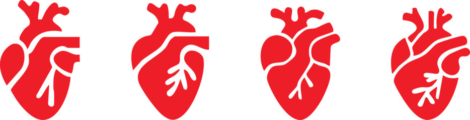 Obraz premium Set of anatomical heart icon Set, Human anatomical heart, heartbeat, cardiovascular, anatomy, medical, health, cardiology illustration, biology, organ, human heart collection, Vector illustration !