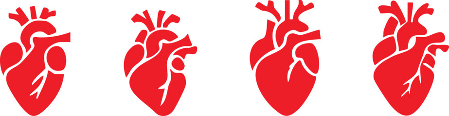 Set of anatomical heart icon Set, Human anatomical heart, heartbeat, cardiovascular, anatomy, medical, health, cardiology illustration, biology, organ, human heart collection, Vector illustration !