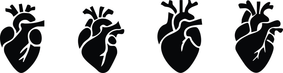 Set of anatomical heart icon Set, Human anatomical heart, heartbeat, cardiovascular, anatomy, medical, health, cardiology illustration, biology, organ, human heart collection, Vector illustration !