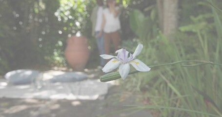 Naklejka premium Framing iris blooming in backyard with clay pot, mat and pillows, blurred casual couple, copy space