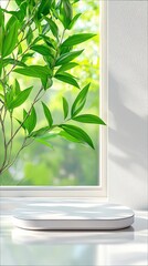 A white podium sits on a windowsill, with green leaves and a blurred green background visible through a window. The scene is bathed in bright sunlight.