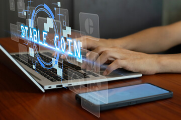 The concept of using stablecoins in the financial system