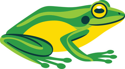 Cartoon frog, side profile, green amphibian, yellow belly, stylized animal, nature illustration, graphic design, wildlife art, frog drawing, educational image