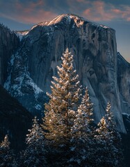 Snow-Covered Trees Against Majestic Rock Cliffs in Glowing Sunset