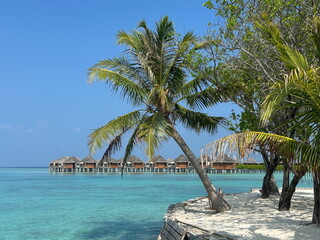 looking through Palm trees to water villas in the Maldives