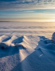 Serene Winter Landscape with Snow-covered Ground and Blue Sky