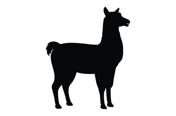Alpaca silhouette vector, Llama silhouette