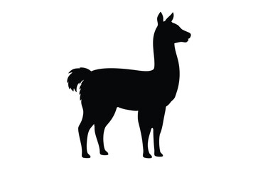 Alpaca silhouette vector, Llama silhouette