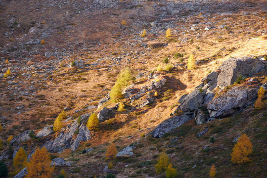 Lac Bleu Arolla in autumn