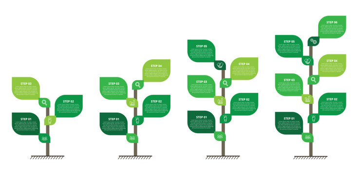 Four growing green leaf infographic timelines showing progress and development stages