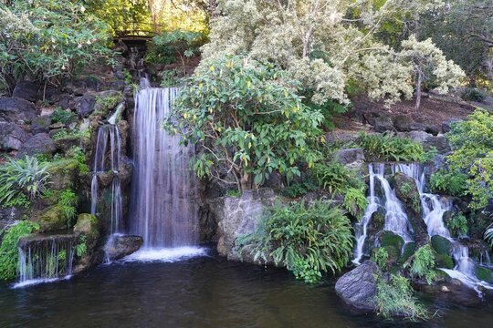 Waterfall at the Arboretum in Arcadia, California.