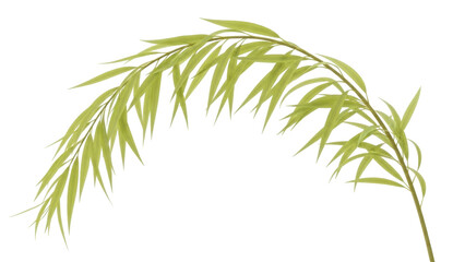 Fototapeta premium Isolated sprig of green leaves curves gently from top left to lower right, botanic element