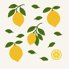 Simple Lemon Branch and Slice Graphic