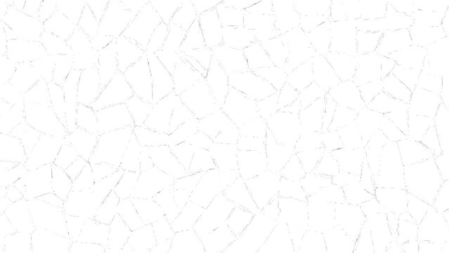 Abstract white cell pattern background with irregular shapes and thin black lines. White crack wall texture background with distressed surface for creative design. 