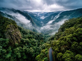 A winding road carves through a dense, green valley veiled in misty clouds.