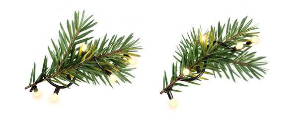 pine branch with lights string isolated on white