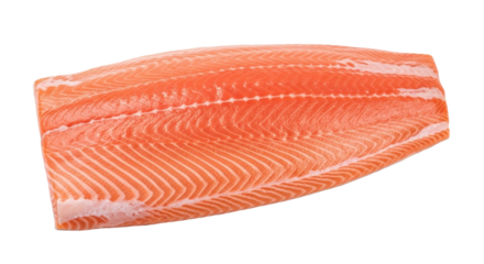 Isolated fresh raw salmon fillet section, healthy ingredient for meal preparation or cooking